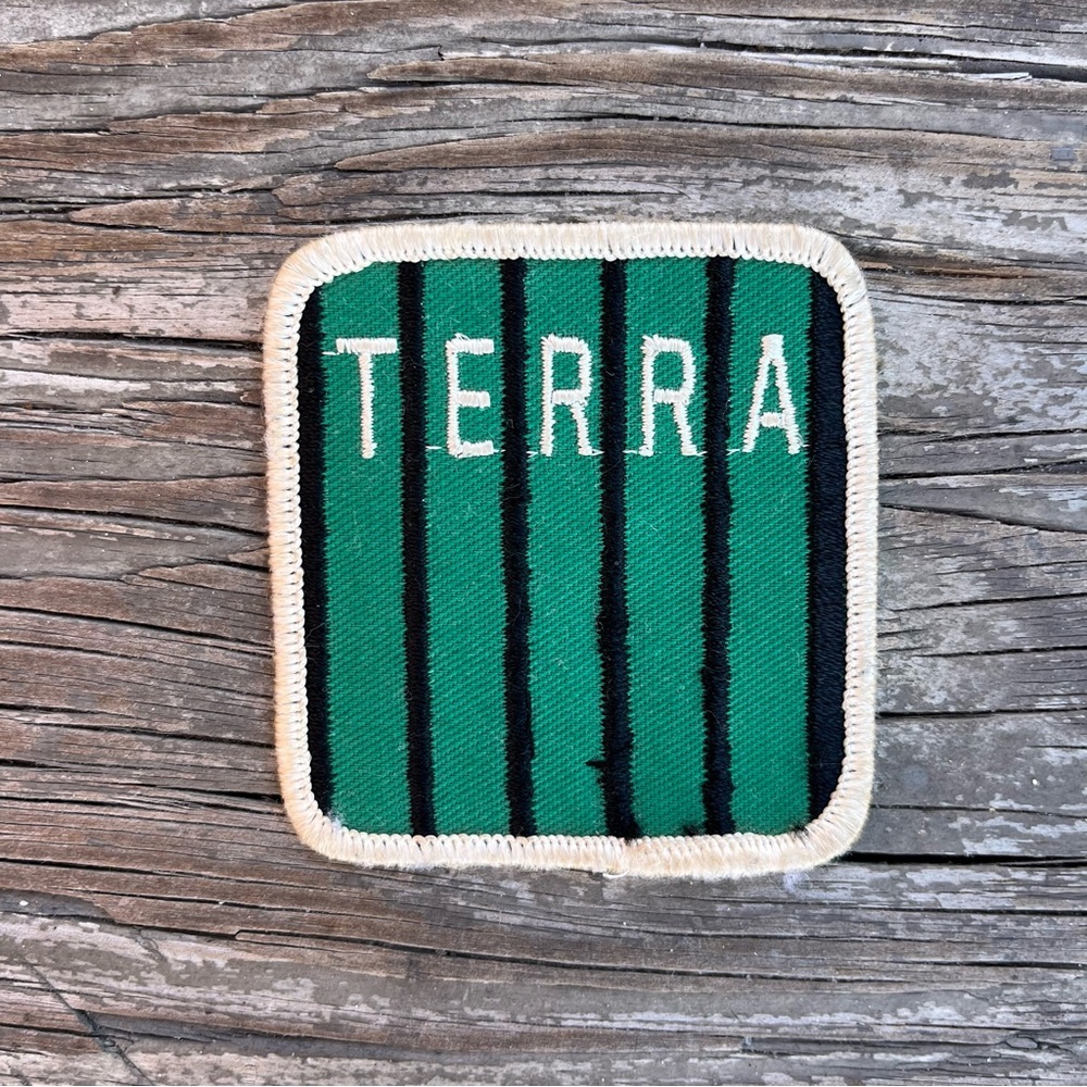 Vintage Patch Terra Earth Green Boy Scout Boy Scouts of America USA